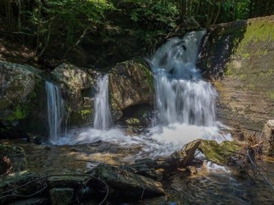 Определение