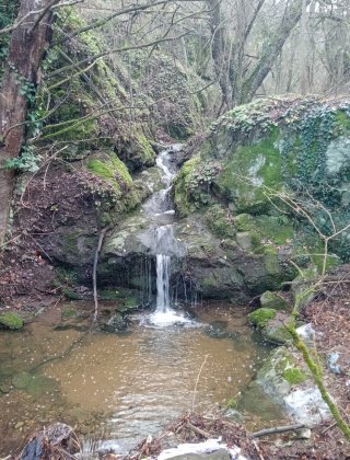 Chamladere 2