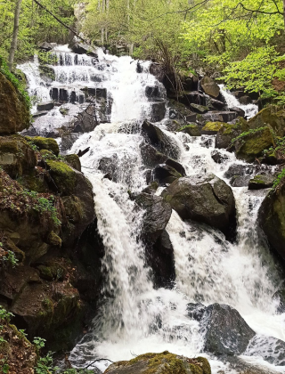 Chestna Waterfall 2