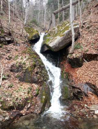 Gabrovshtitsa Waterfall 4