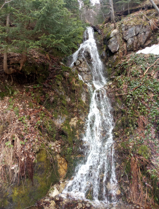 Gabrovshtitsa Waterfall 5