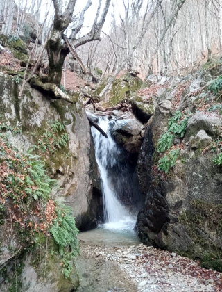 Kashinska Reka Waterfall 3