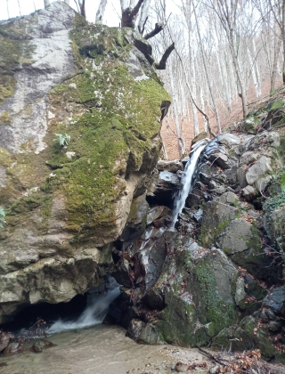 Kashinska Reka Waterfall 4