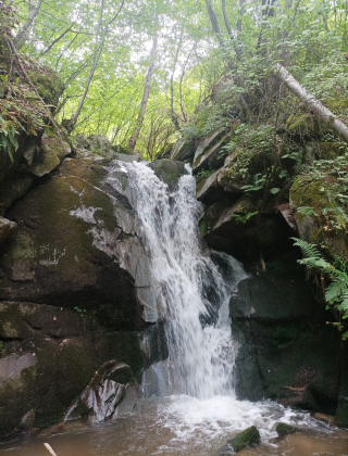 Delchevski Lower Waterfall