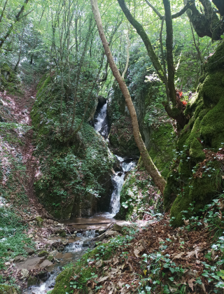 Delchevska Reka Waterfall 1