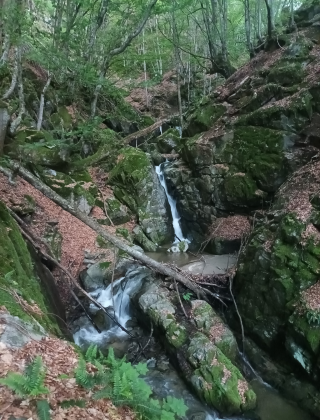 Srednishki Dol Waterfall 6