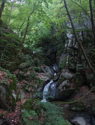 Srednishki Dol Waterfall 5
