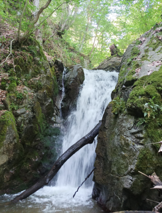 Srednishki Dol Waterfall 1
