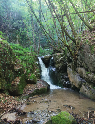 Visochkata Reka Waterfall 6