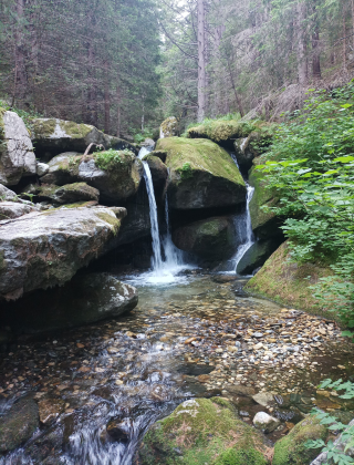 Goritsa Waterfall 10