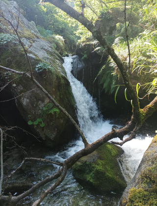 Goritsa Waterfall 6