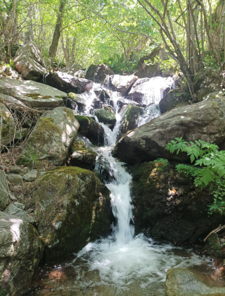 Fudinya Waterfall 1