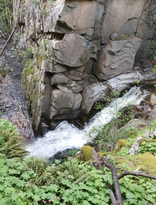 Mechkulska Reka Waterfall 14
