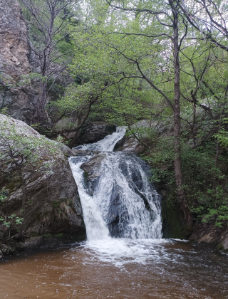 Mechkulska Reka Waterfall 1