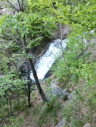 Водопад Гургура 2