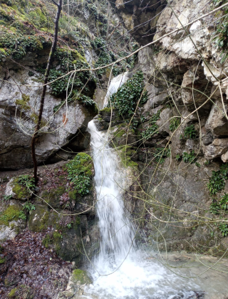 Долен водопад Мечата вода