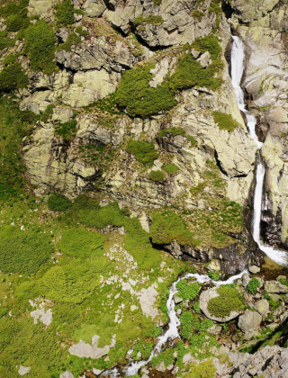 Петканово пръскало