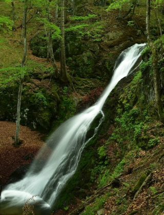 Водопад Заграденица 