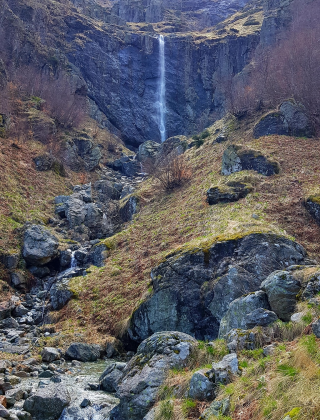 Пилешко пръскало