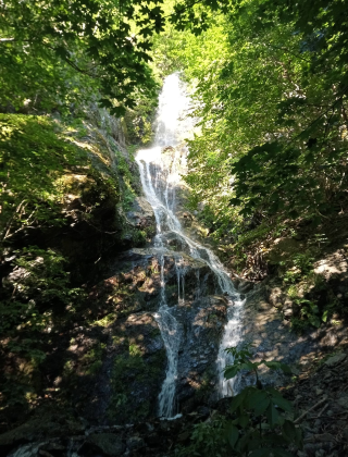 Долен водопад вада Орлека