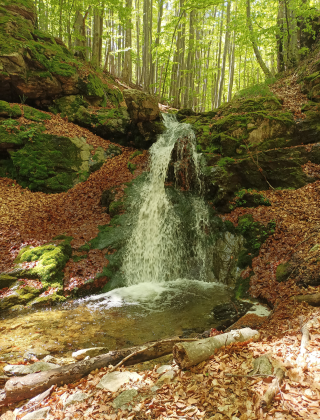 Водопад Заграденица 3