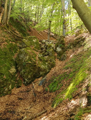 Водопад Заграденица 5