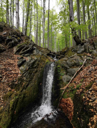 Водопад ляв приток Малка река