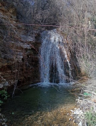 Akar Dere