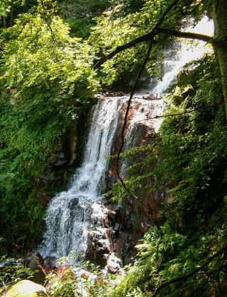 Червения скок