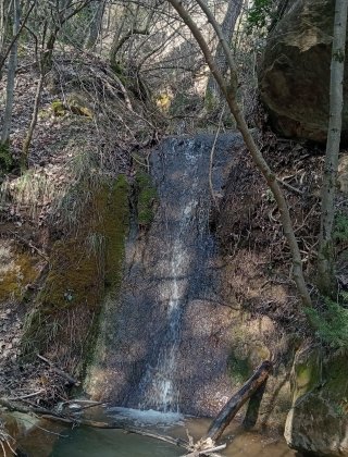 Alibekir