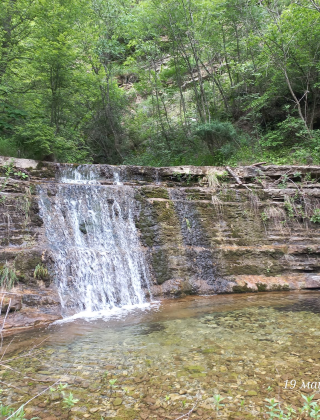 Kozluka Rapid