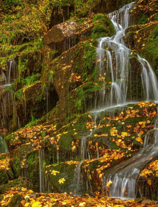 Alekov Lower Waterfall