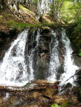 Metohiyska Reka Waterfall