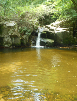 Prodanov Skok Waterfall
