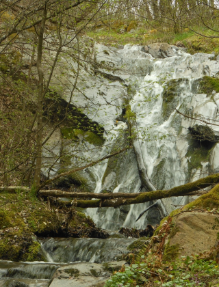 Bivolarski Skok Waterfall