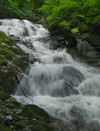Bobovitsa Lower Waterfall