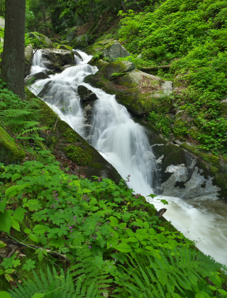 Bobovitsa Waterfall
