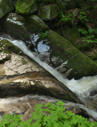 Bobovitsa Waterfall 4