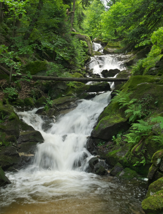 Bobovitsa Upper Waterfall