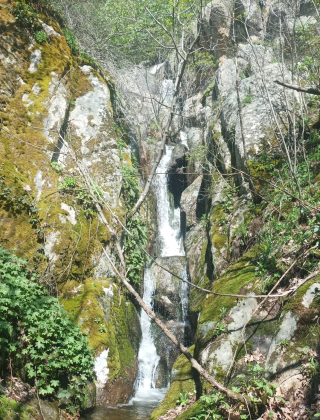 Водопад Скокота