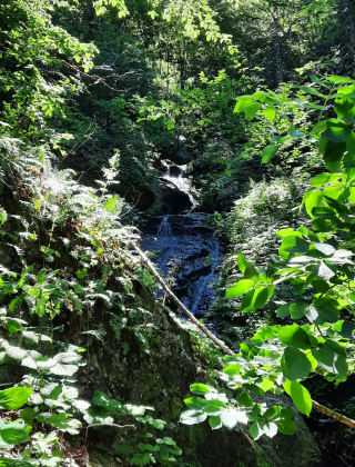 Gabrensko Dere Waterfall 2