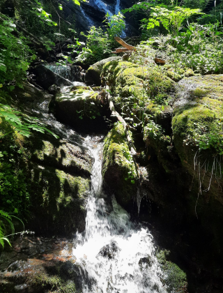 Gabrensko Dere Waterfall 3