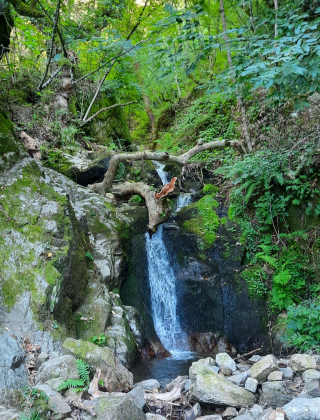 Svigovitsa Waterfall