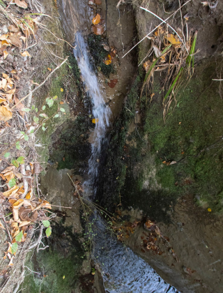 Водопад Гопи