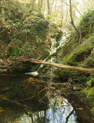 Chereshata Dere Waterfall 3