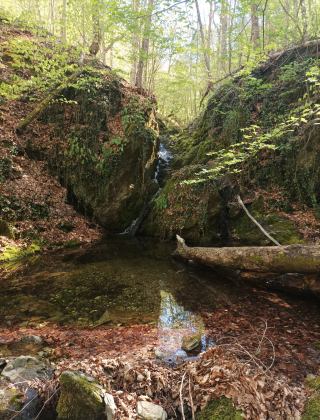 Chereshata Dere Waterfall