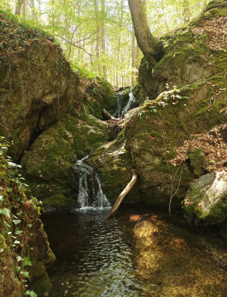 Gradev Sredok Waterfall