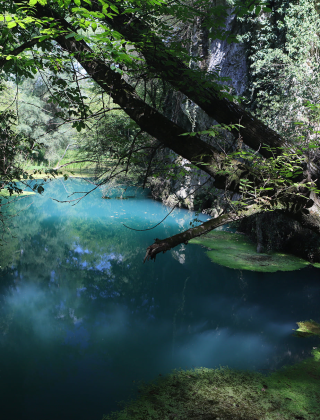 Glava Panega Spring