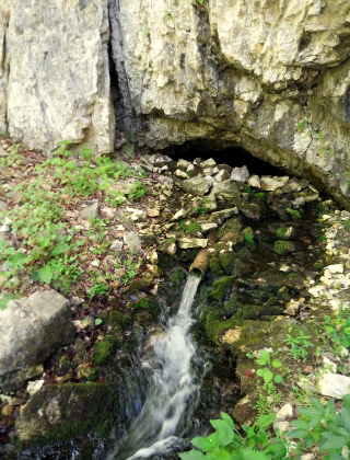 Beliya Upper Spring