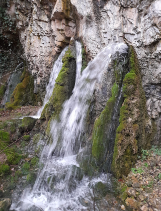 Brezenska River Springs